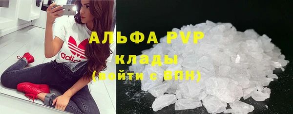 СК Каменск-Шахтинский