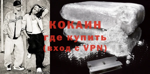 соль ск Алексин