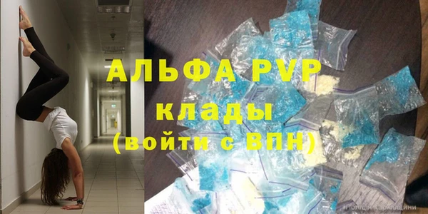 сатива Алзамай