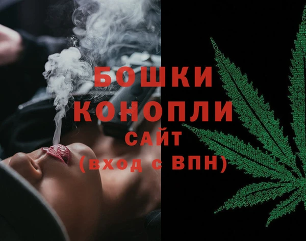ПСИЛОЦИБИНОВЫЕ ГРИБЫ Абаза