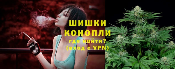 сатива Алзамай